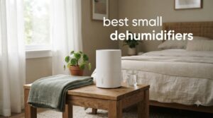 best small dehumidifiers