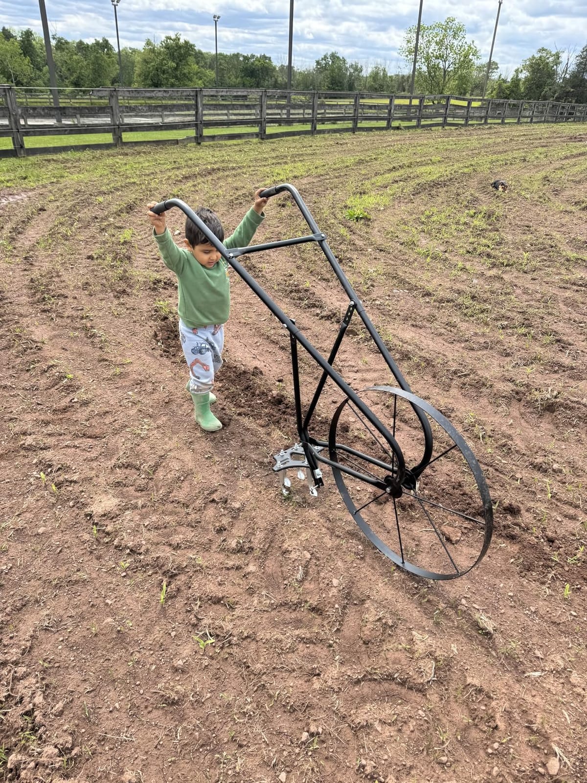 EarthWay 6500 High Wheel Tubular High Wheel Cultivator with Comfort Handle with 3- Position Adjustable, Quick Change Implements, and 24 Inch Steel Wheel customer photo 1