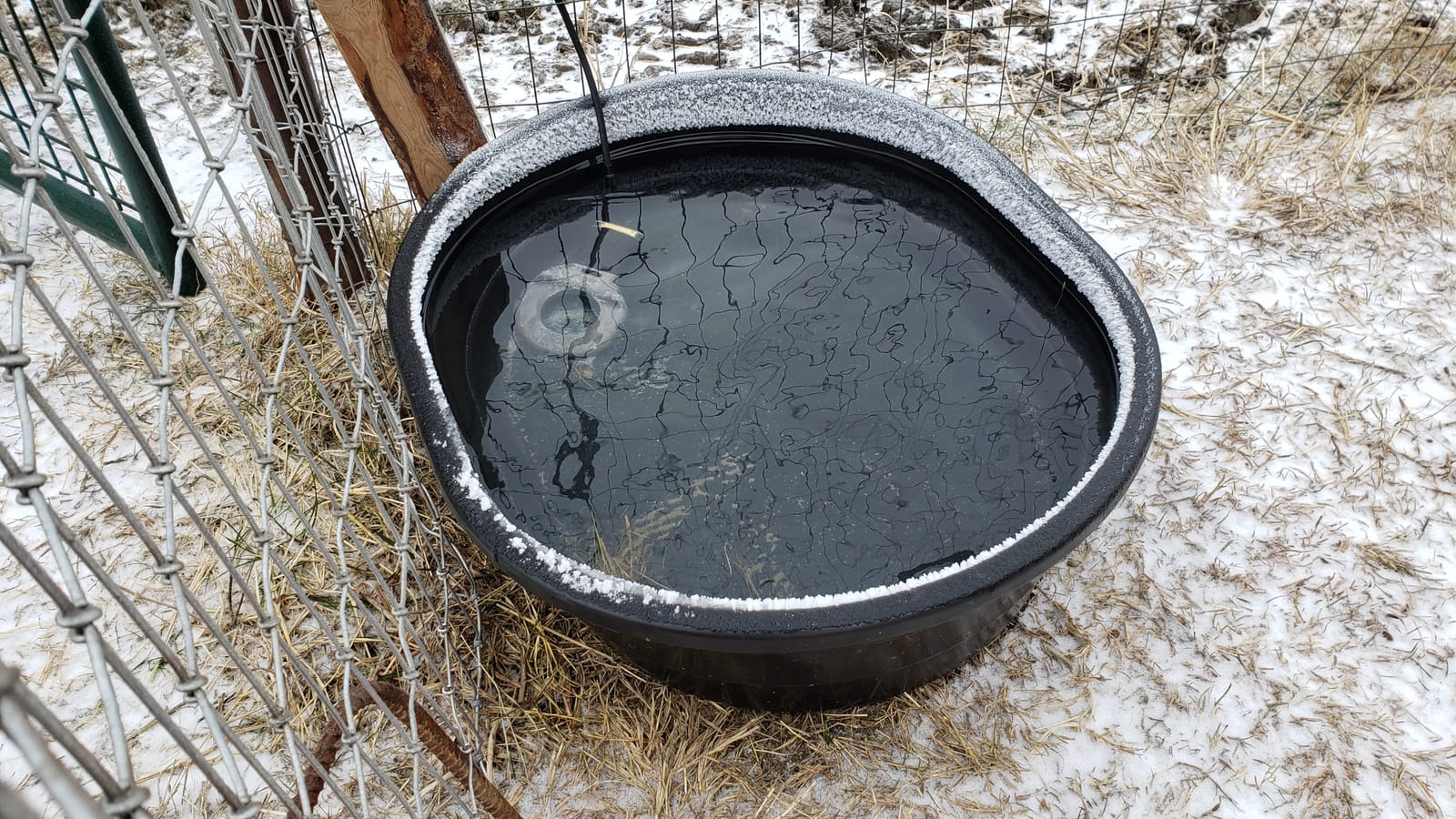 Farm Innovators Submersible Stock Tank De-Icer, 500W Livestock Heater customer photo 2