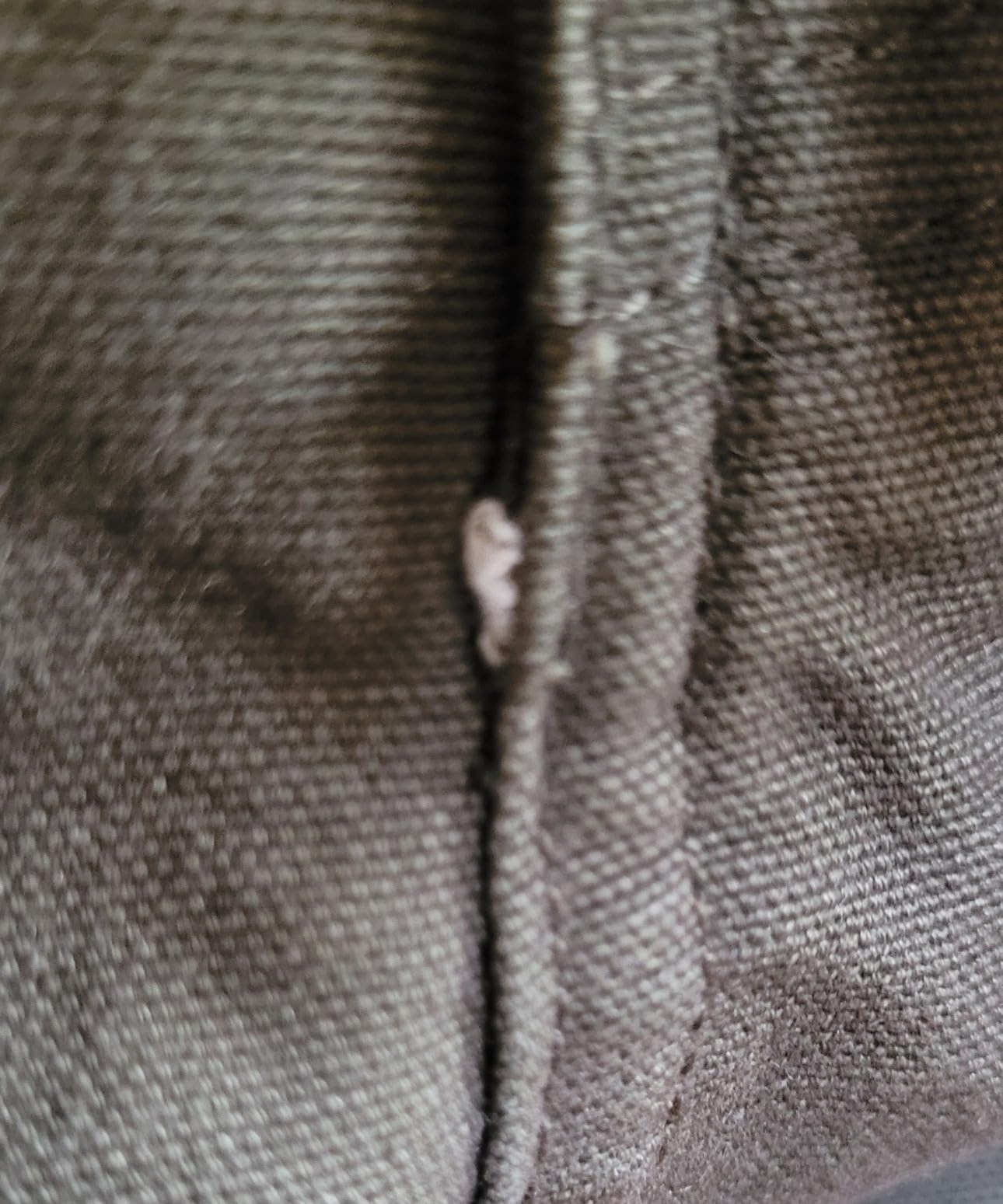 Dickies Duck Carpenter Pants customer photo 1