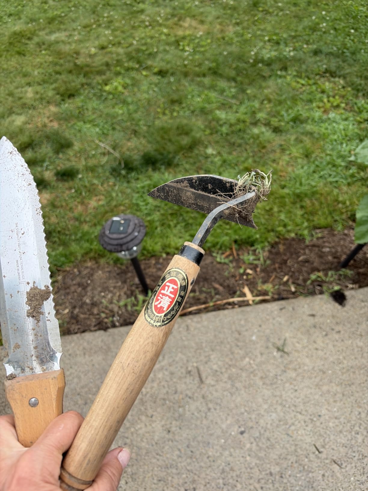 Japanese Weeding Sickle Very Sharp Edge Quick Work (Full Size) customer photo 1