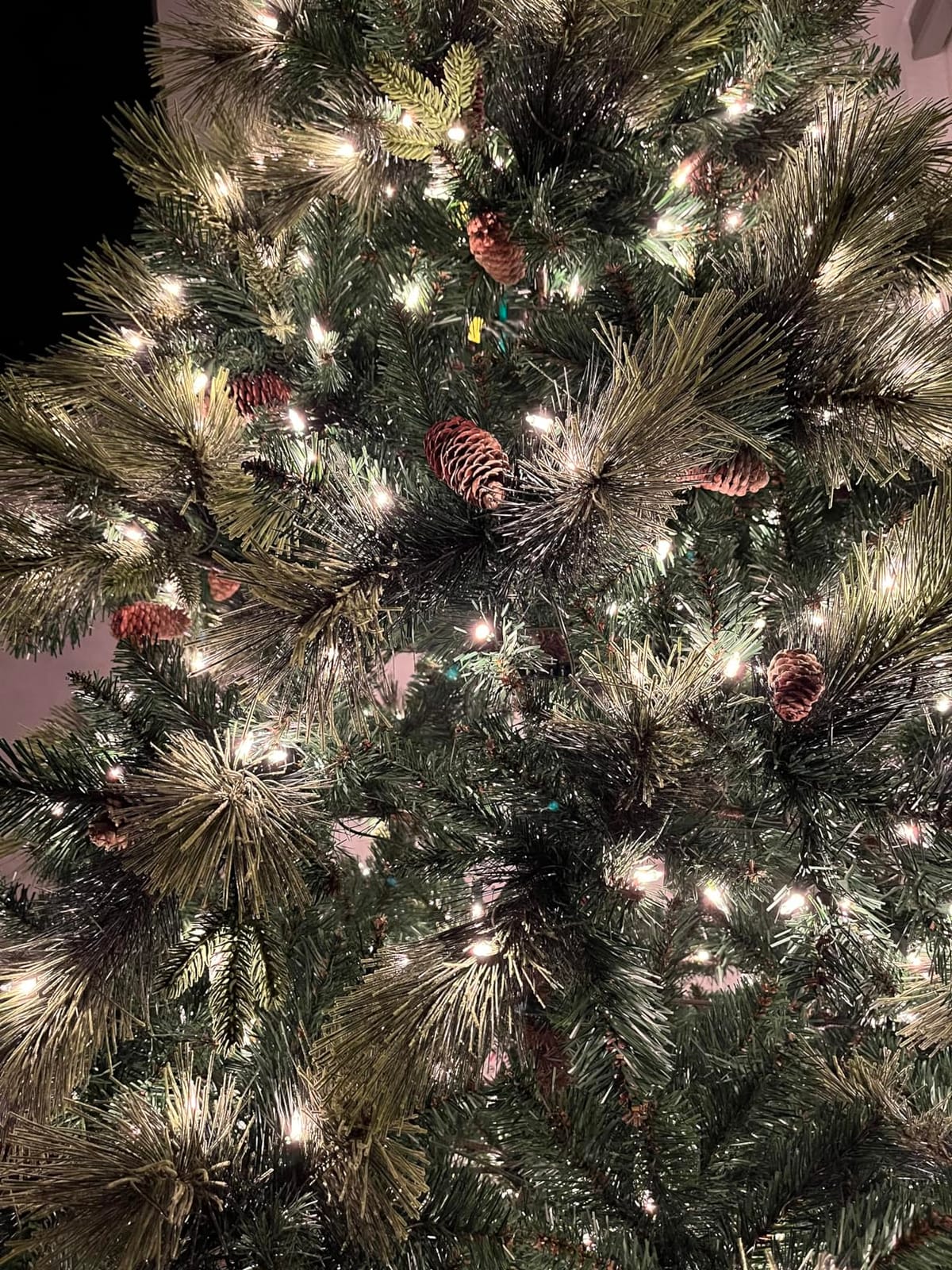 National Tree Carolina Pine customer photo 1