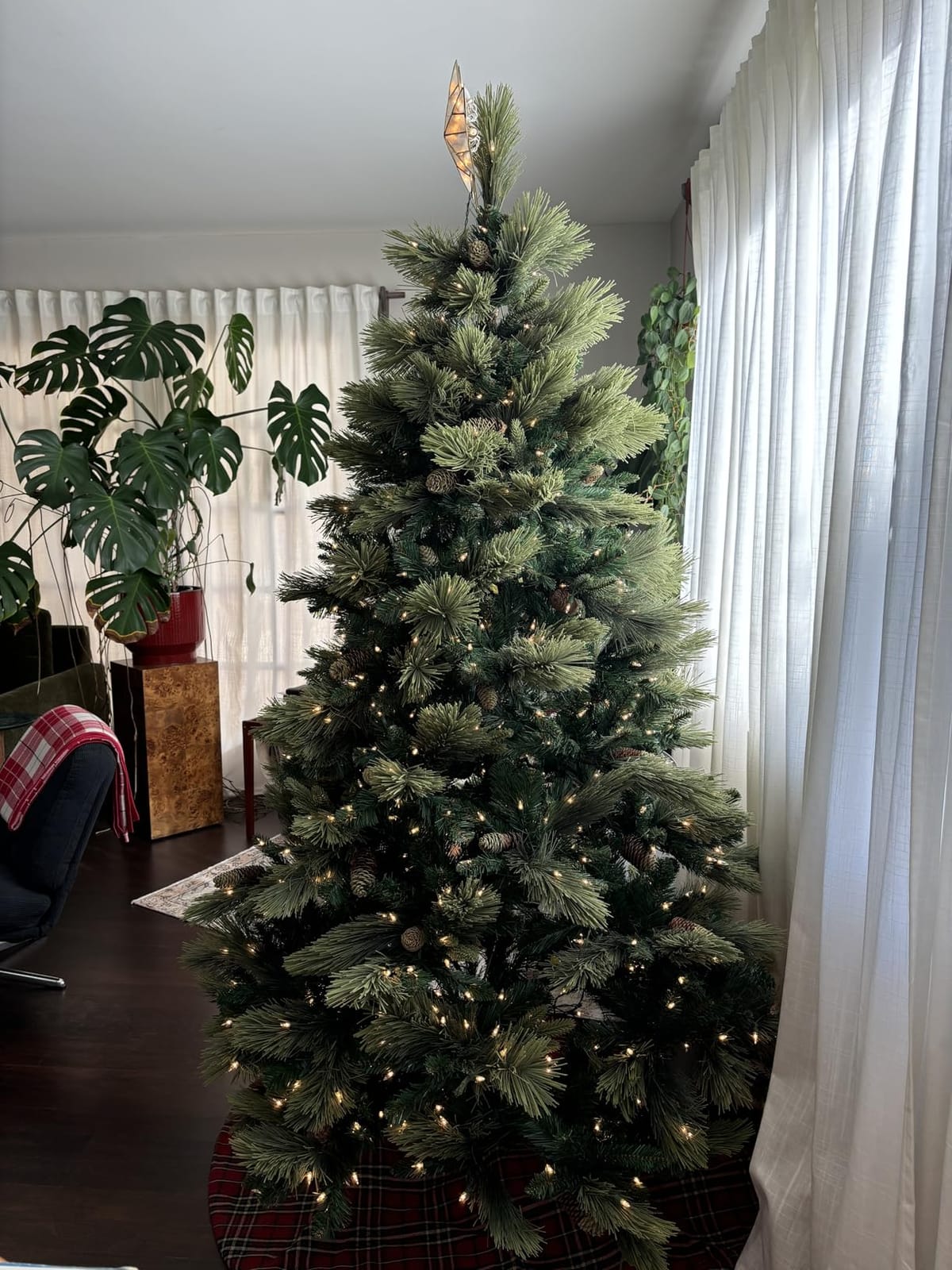 National Tree Carolina Pine customer photo 2