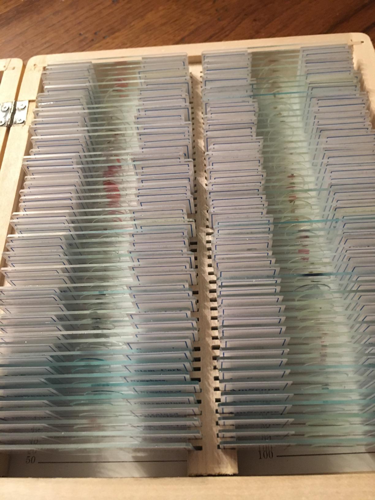 AmScope PS100A Prepared Microscope Slide Set, 100 Slides Set A customer photo 1