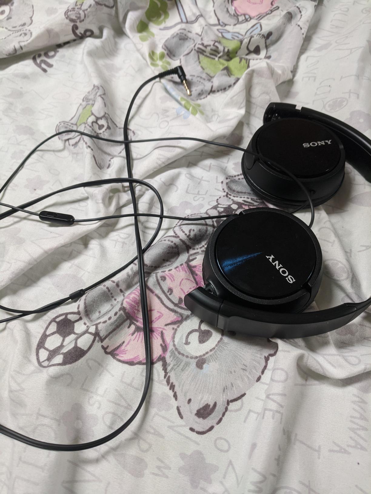 Sony MDR-ZX310AP ZX Series Wired On Ear Headphones with mic, Black customer photo 1