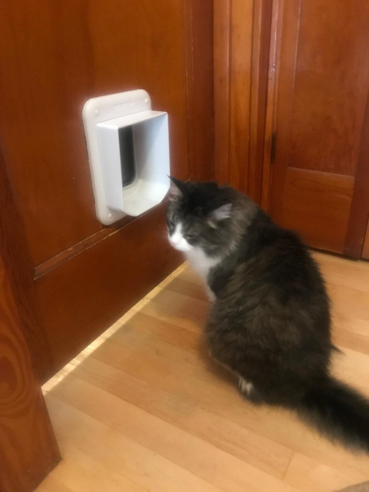 Cat Mate Microchip activated Cat Flap | for up to 30 Cats, Brown customer photo 1