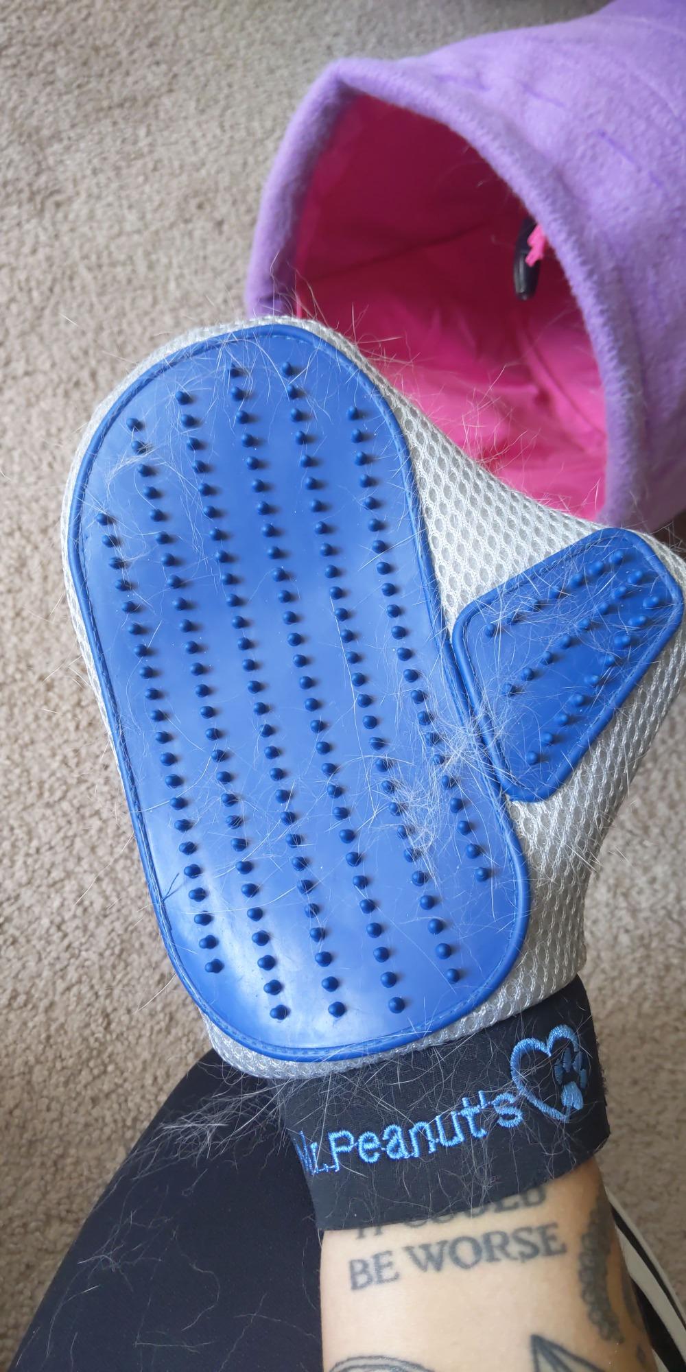 Mr. Peanut’s Pet Grooming Glove – Deshedding Hair Removal Mitt with Gentle Silicone Tips, Adjustable Wrist Strap & Breathable Mesh; Perfect for Dogs, Cats, Rabbits & Small Pets customer photo 1