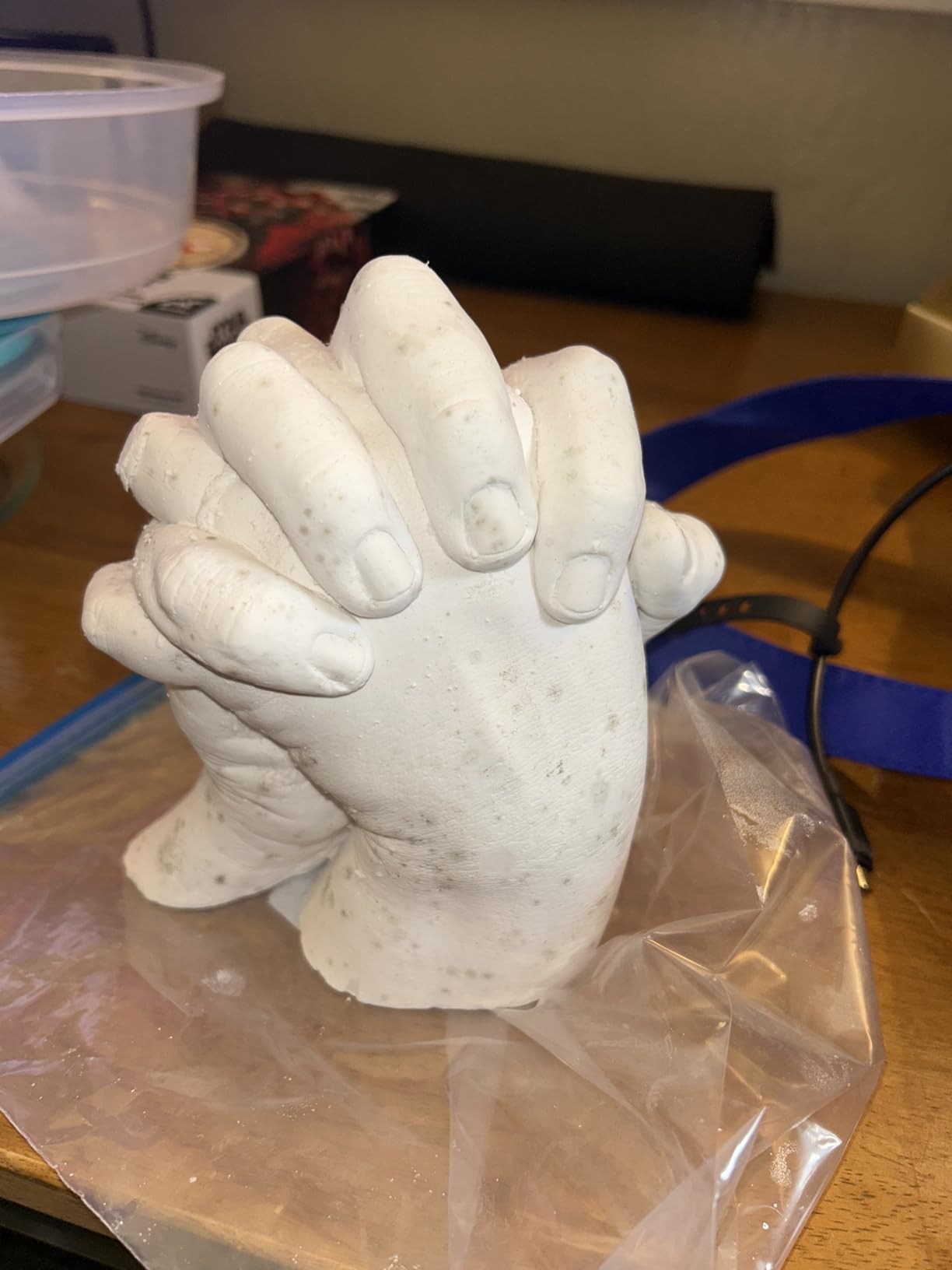 Luna Bean Hand Casting Kit customer photo 2
