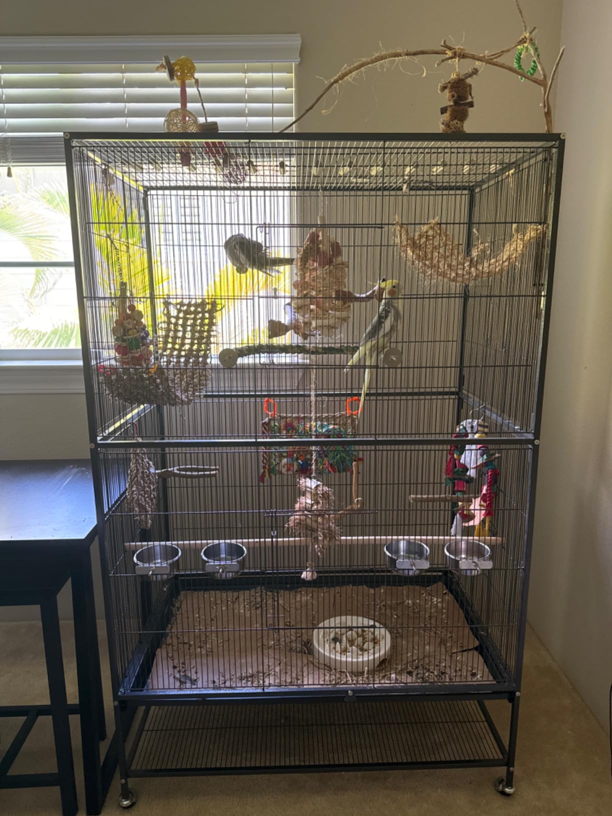 Prevue Pet Products Wrought Iron Bird Flight Cage w/Wheels- L, Chalk White customer photo 2