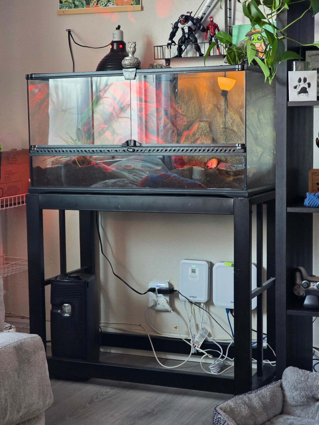 imagitarium by Petco Brooklyn Metal Tank Stand - for 40 Gallon Tanks customer photo 1