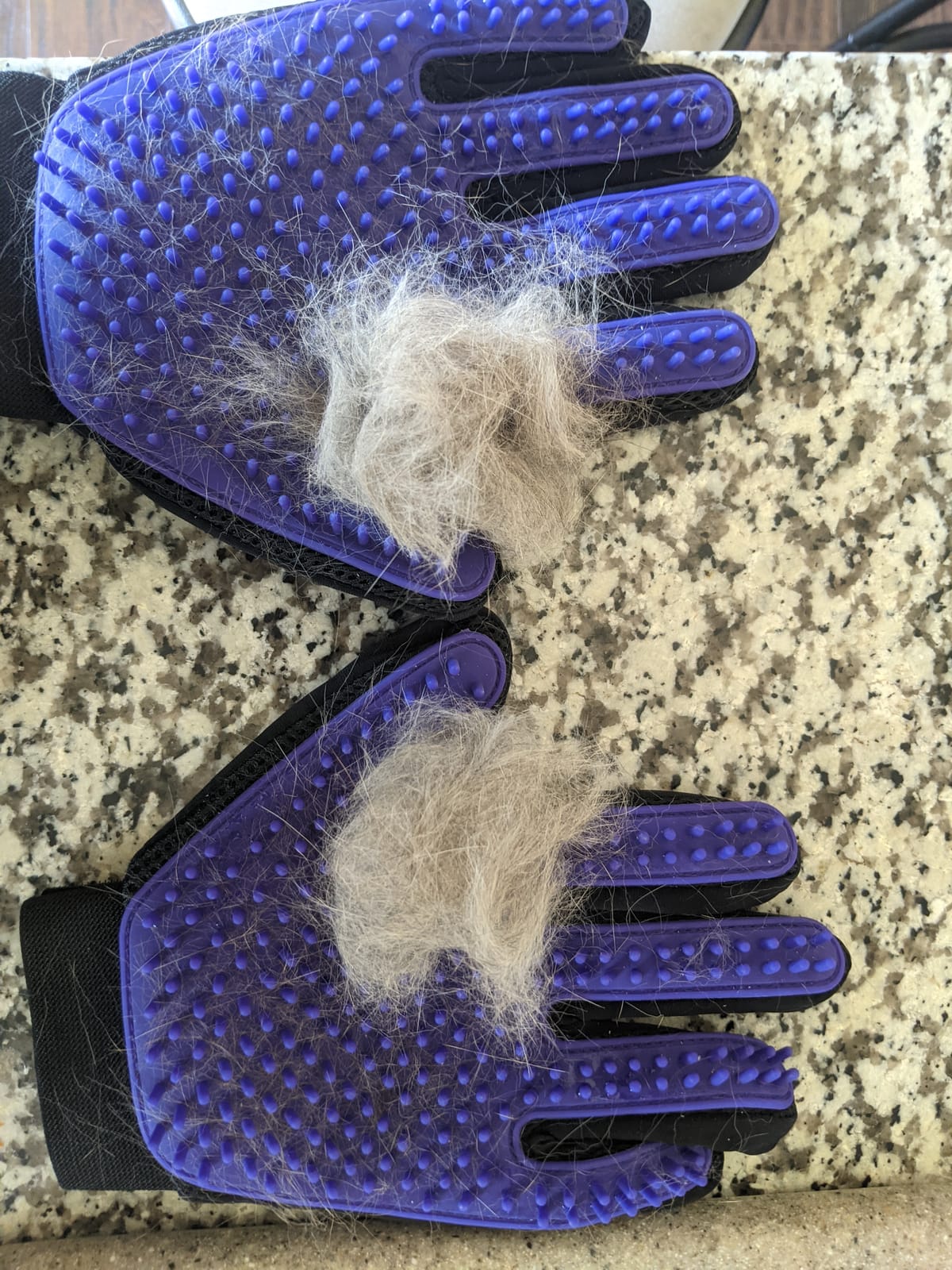 Pet Hair Removal Glove with 255 Silicone Tips for Dogs & Cats, 1 Pair Blue customer photo 2