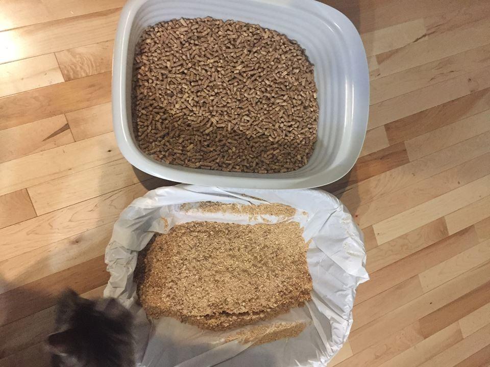 Arm and Hammer Large Sifting Cat Litter Box with Microban customer photo 2