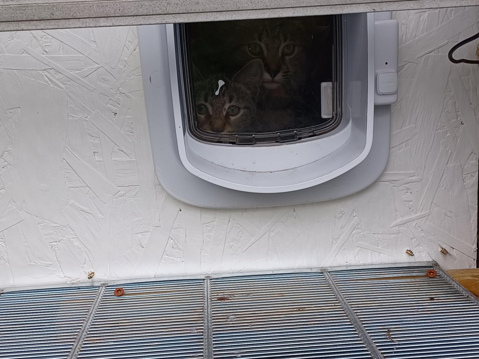 PetSafe Microchip Cat Door, Interior/Exterior, Multi-Pet, 4-Way Lock customer photo 2