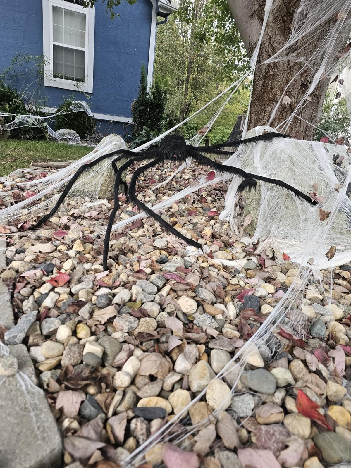 JOYIN 5ft Giant Spider customer photo 1