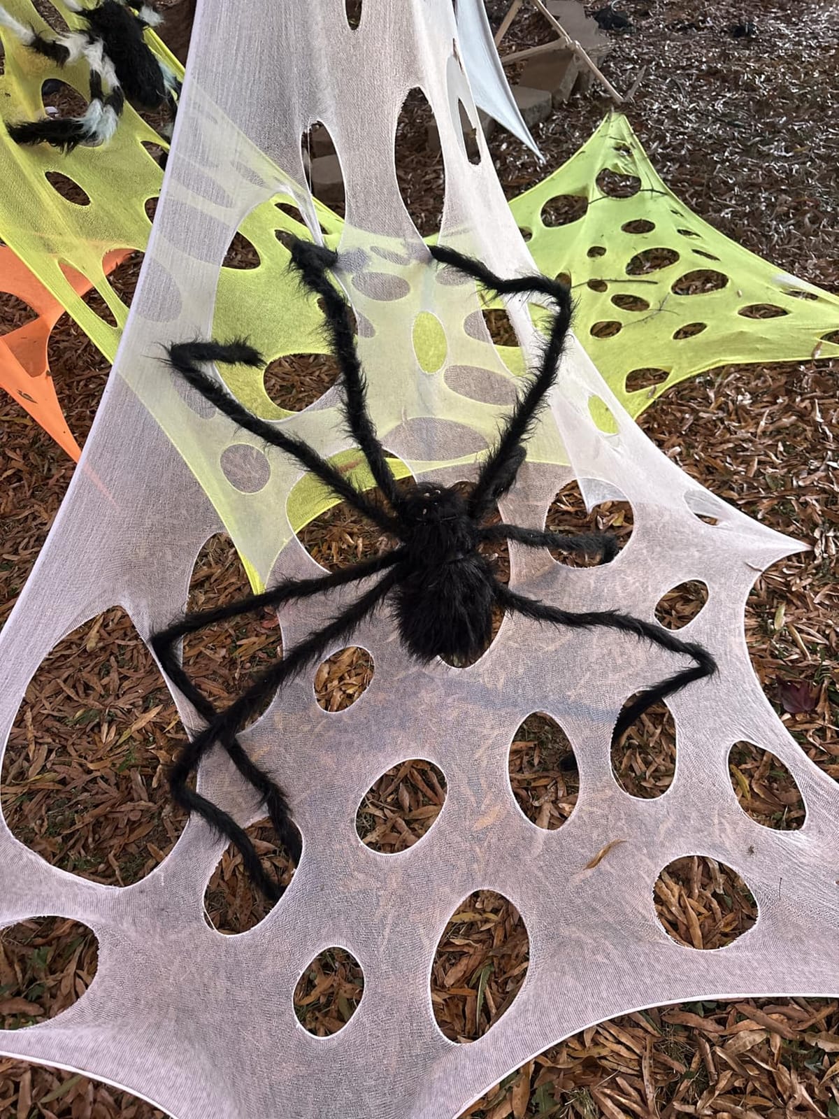 JOYIN 5ft Giant Spider customer photo 2