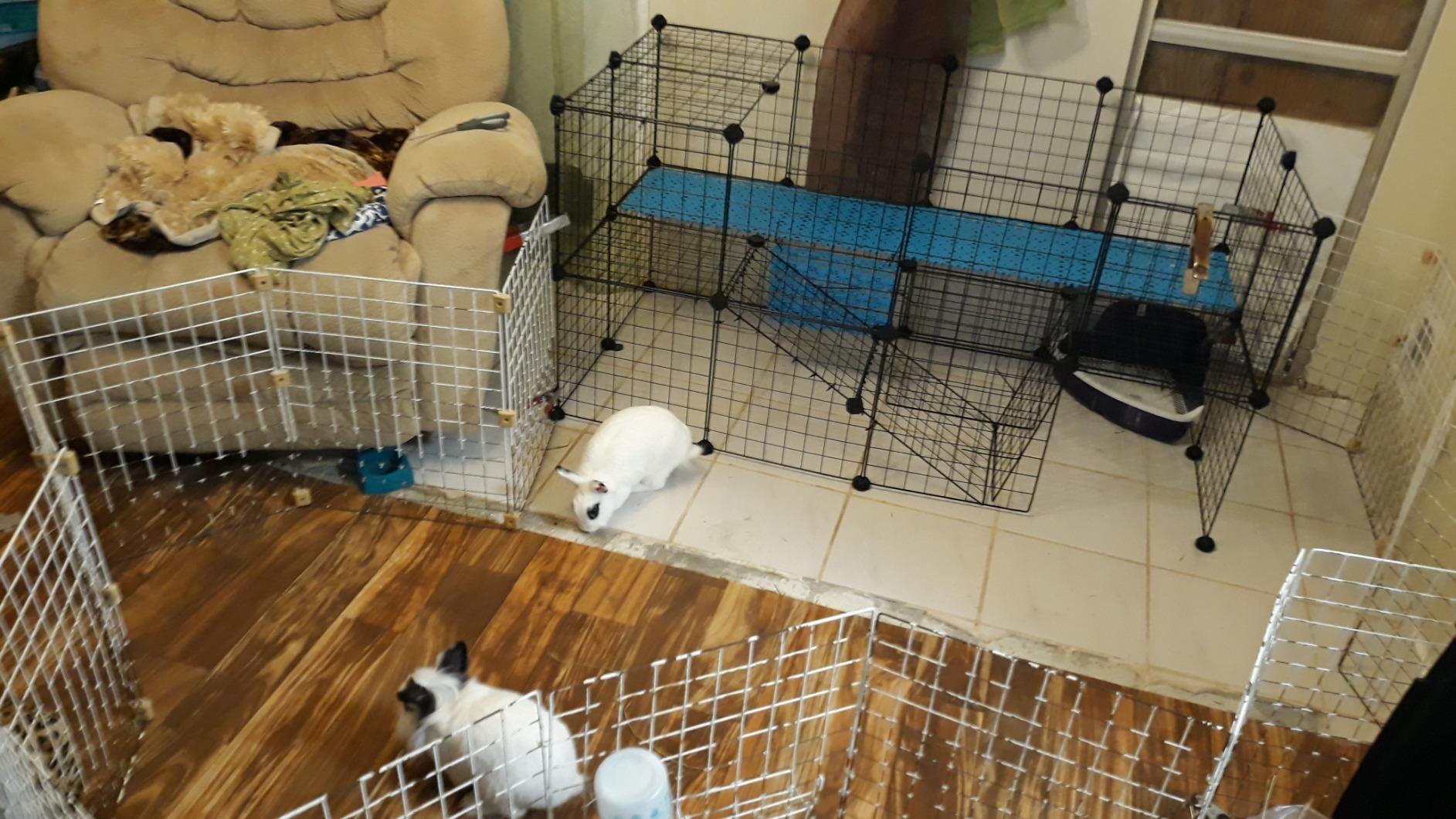 SONGMICS Pet Playpen, Small Animal Playpen customer photo 1