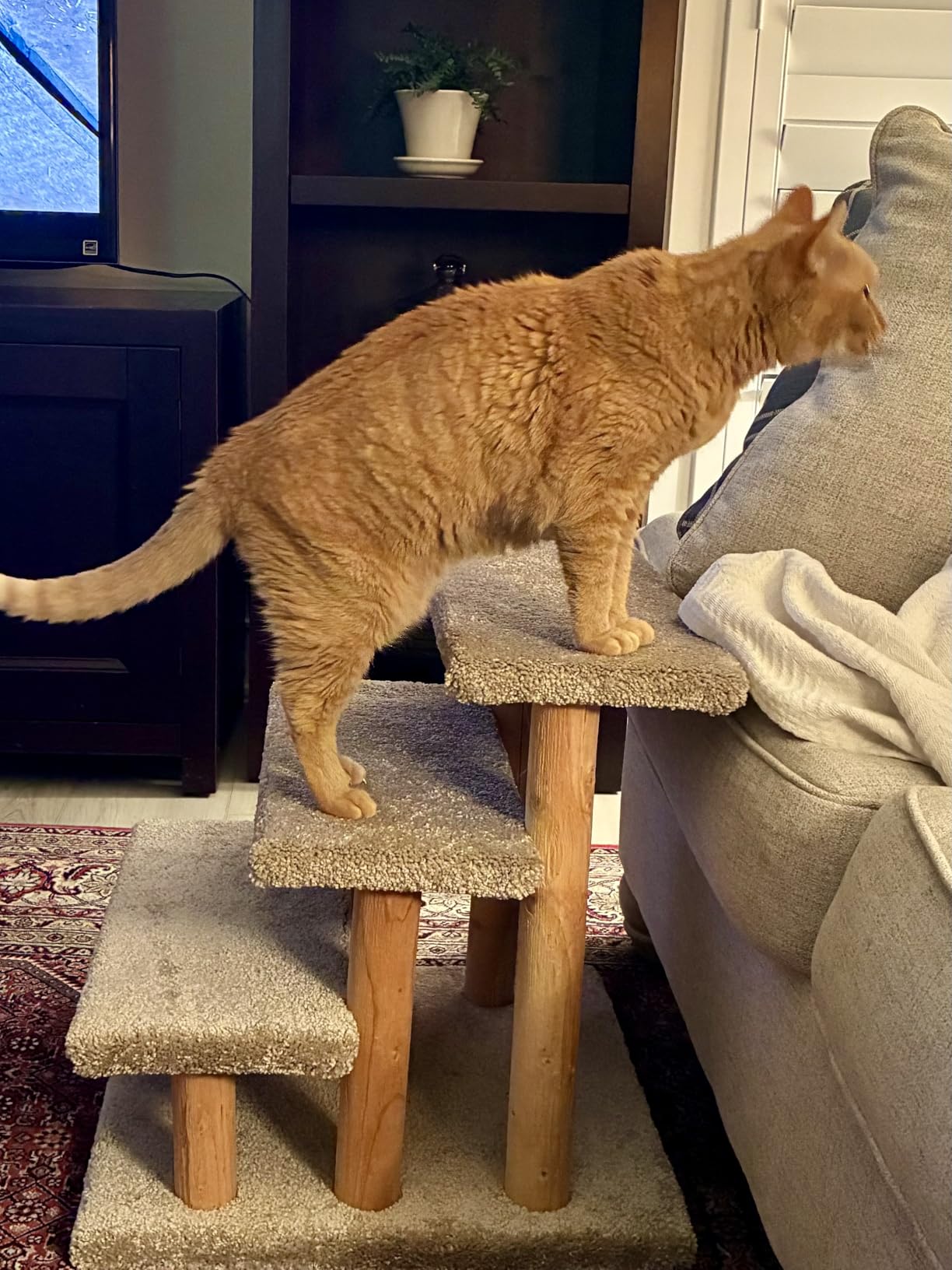 New Cat Condos 120223 Pet Stairs, Neutral, Large customer photo 2