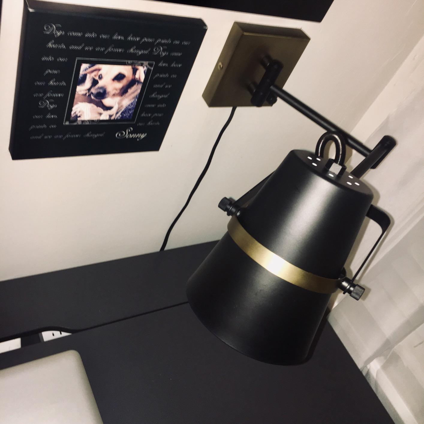 Globe Electric 51345 1-Light Plug-in or Hardwire Swing Arm Wall Sconce, Matte Black, Brass Accents, 6ft Woven Fabric Cord, Flat Plug, Rotary Switch, Modern Light for Apartments and Rental customer photo 1
