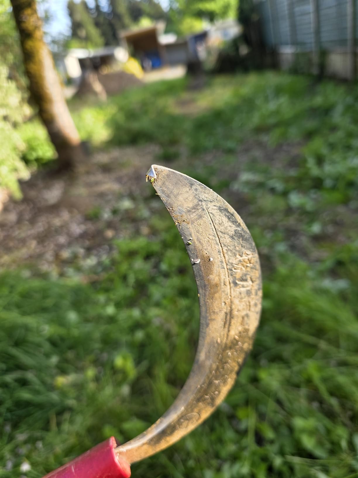 Steel Grass Sickle,Clearing Sickle,Manganese Steel Blade/Hardwood Handle Hand held Sickle Tool - Multipurpose Gardening Weeding Grass Sickle and Farming Portable Safety Sickle customer photo 2
