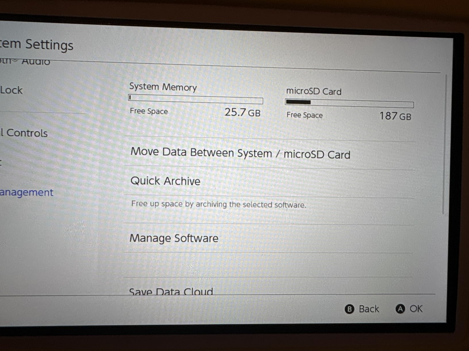 Silicon Power 256GB customer photo 2