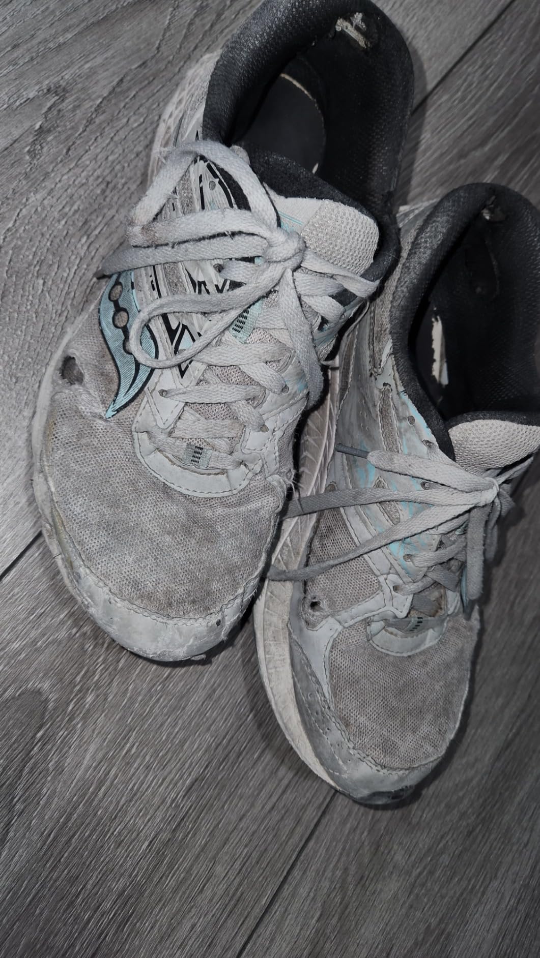 Saucony Women's Cohesion 13 Running Shoe customer photo 2