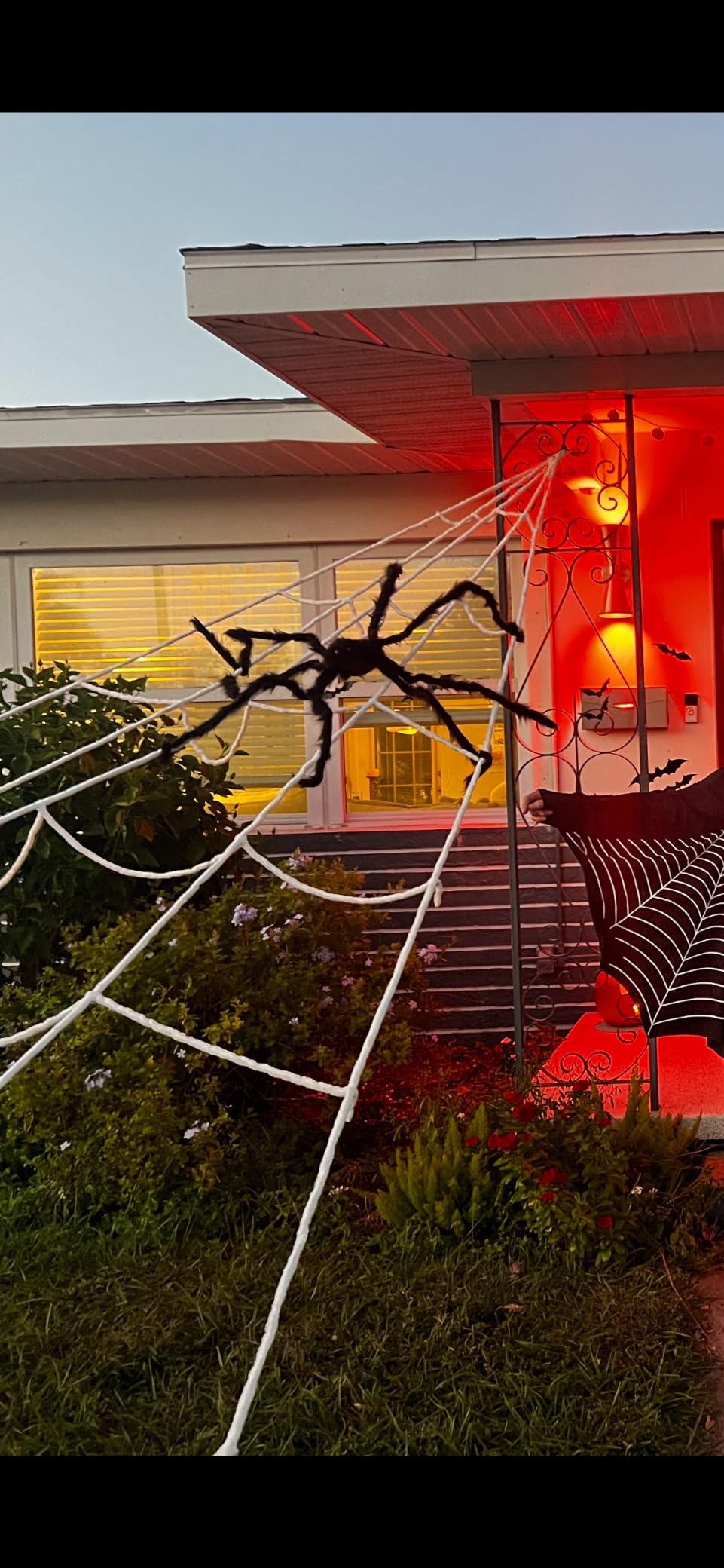 OCATO Spider Web and Spider Pack customer photo 1