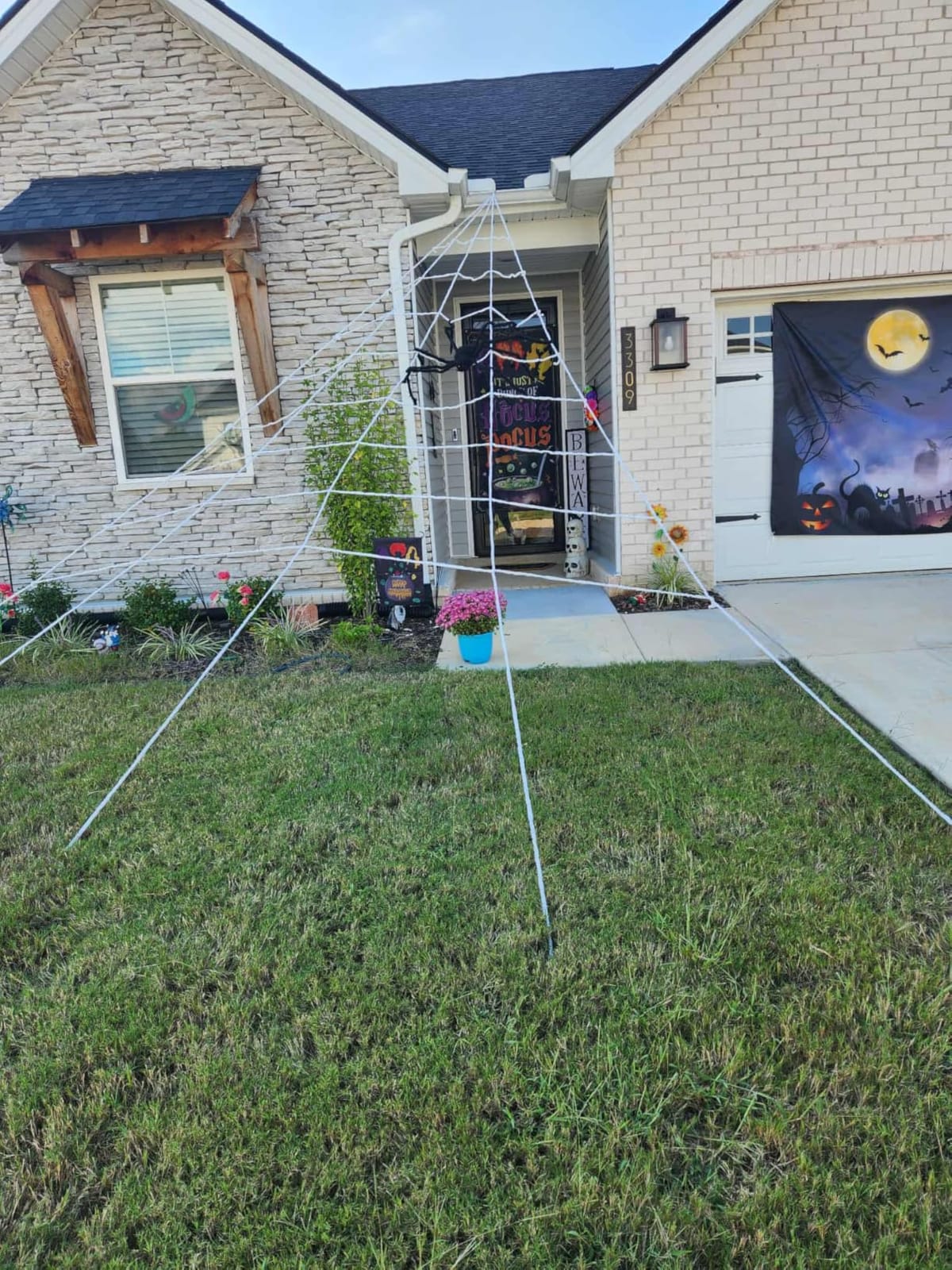 OCATO Spider Web and Spider Pack customer photo 2
