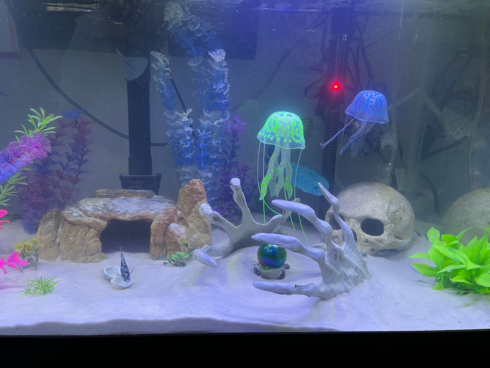 boxtech Fish Tank Water Change,Aquarium Gravel Vacuum Siphon customer photo 1