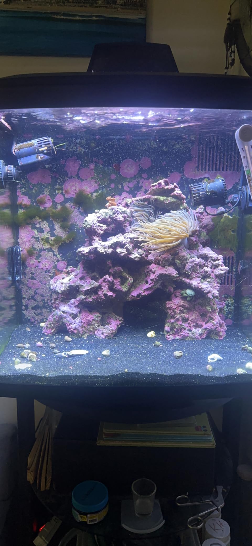 Coralife Biocube Protein Skimmer, Aquarium Skimmer customer photo 2