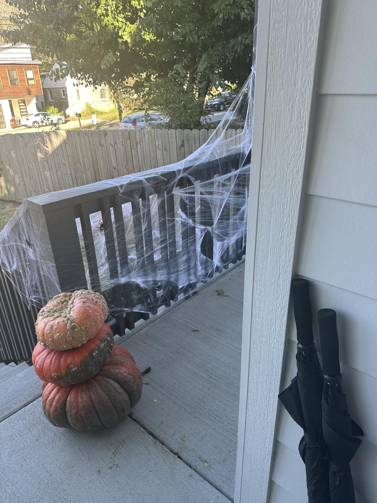 ZPISF Stretchy Spider Webs customer photo 2