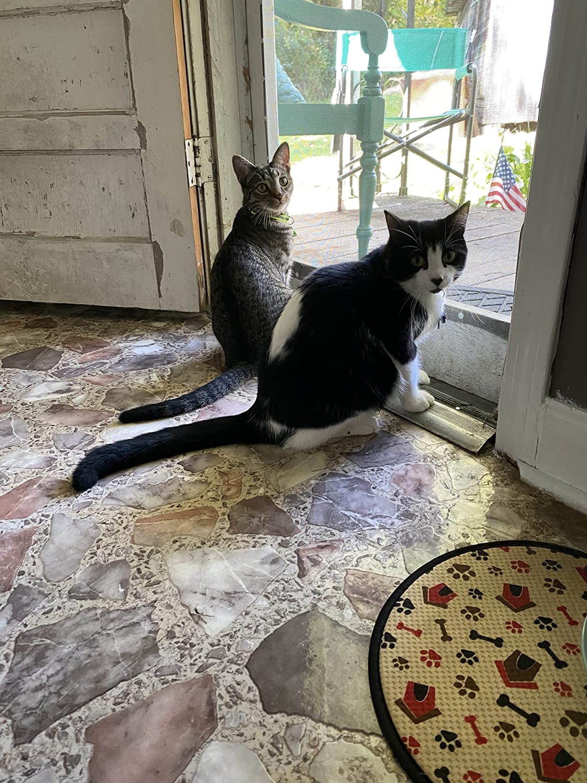 Fresh Step Clumping Litter customer photo 1
