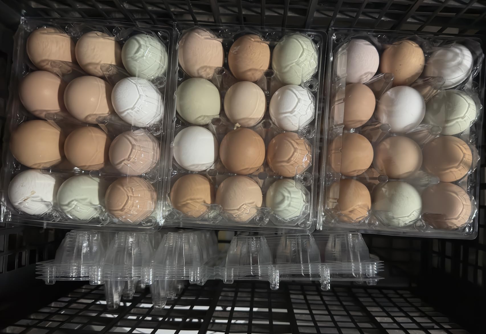 Large Plastic Egg Cartons 30 Packs with Sticker Labels for 12 Eggs, Cheap Bulk Egg Tray Egg Container Holder for Refrigerator, Storage, Family, Chicken Farm, Market, Camping customer photo 2