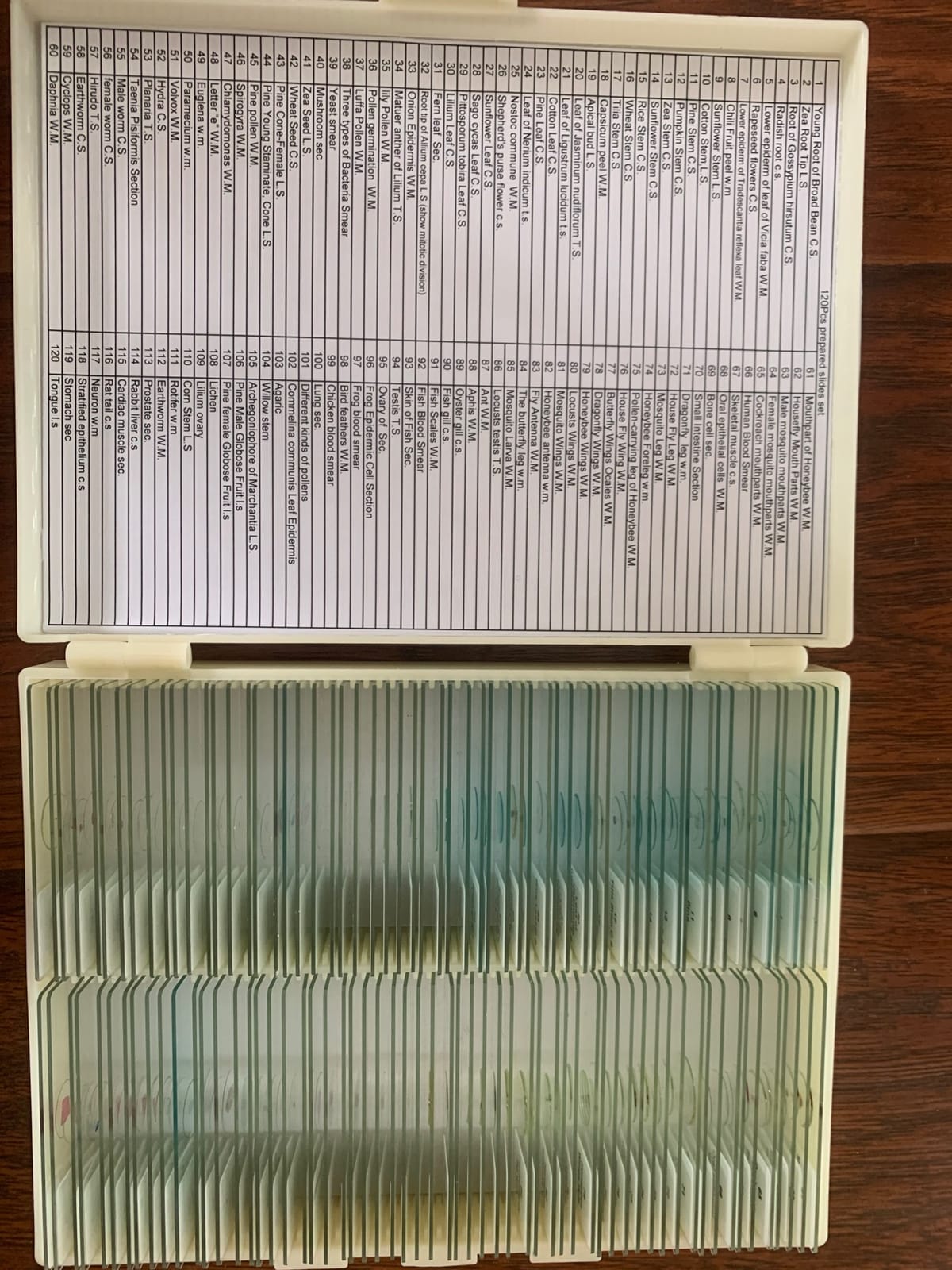 120 Microscope Slides with Specimens for Kids: Prepared Slides for Science customer photo 2