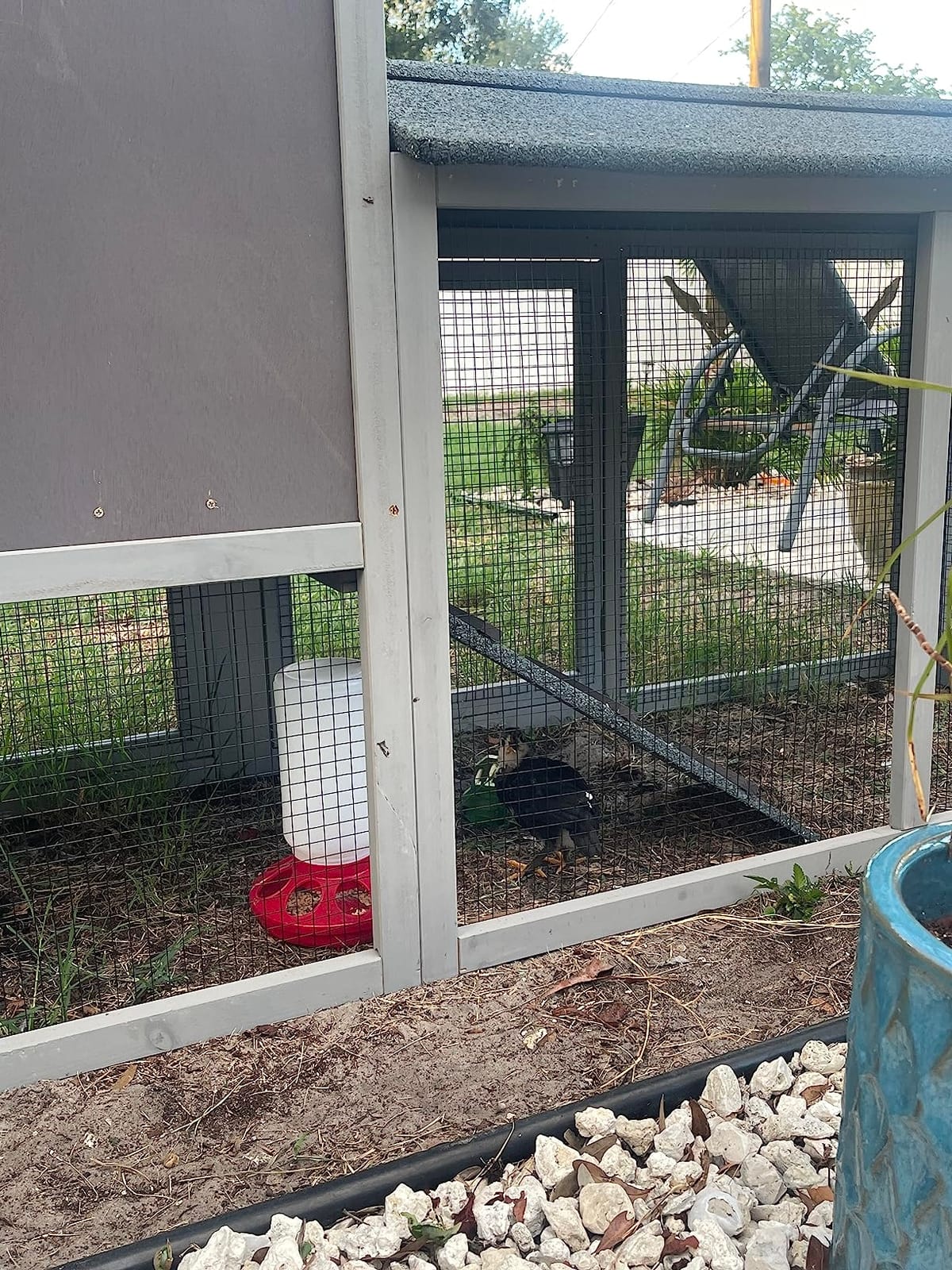 GUTINNEEN Chicken Coop 80in Mobile Chicken House with Run Portable Wooden Poultry Cage with Nesting Box Rabbit Hutch on Wheels,Movable customer photo 2