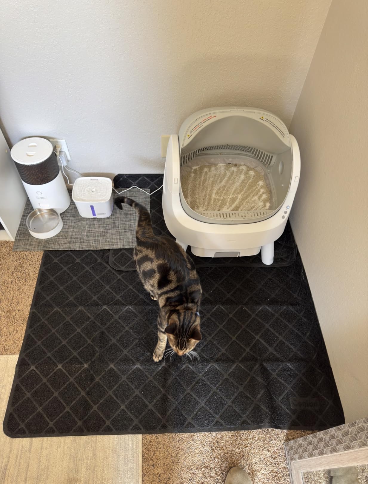 Conlun Cat Litter Mat Litter Trapping Mat, Premium Durable PVC Grid Mesh with Scatter Control, Non-slip, Less Waste Cat Litter Box Mat, Soft on Kitty’s Paws, Urine Waterproof, 24