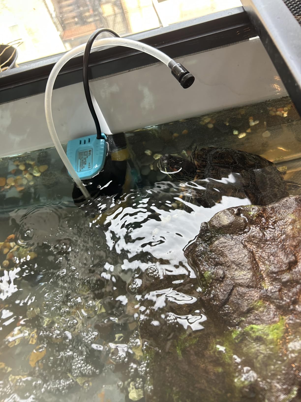 enomol Gravel Vacuum for Aquarium Water Changer Fish Tank Cleaning Tools,Siphon Universal Quick Pump Aquarium Water Changing (30ft) customer photo 1
