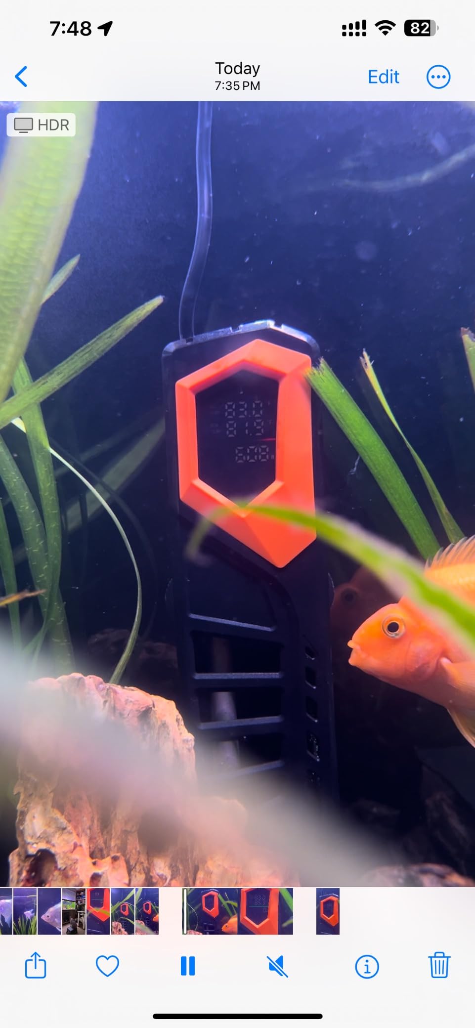 HITOP 600W Titanium Aquarium Heater - Digital Fish Heater with LED Temp Display and External Controller, for Large Fish Tank 75~180Gallon customer photo 2