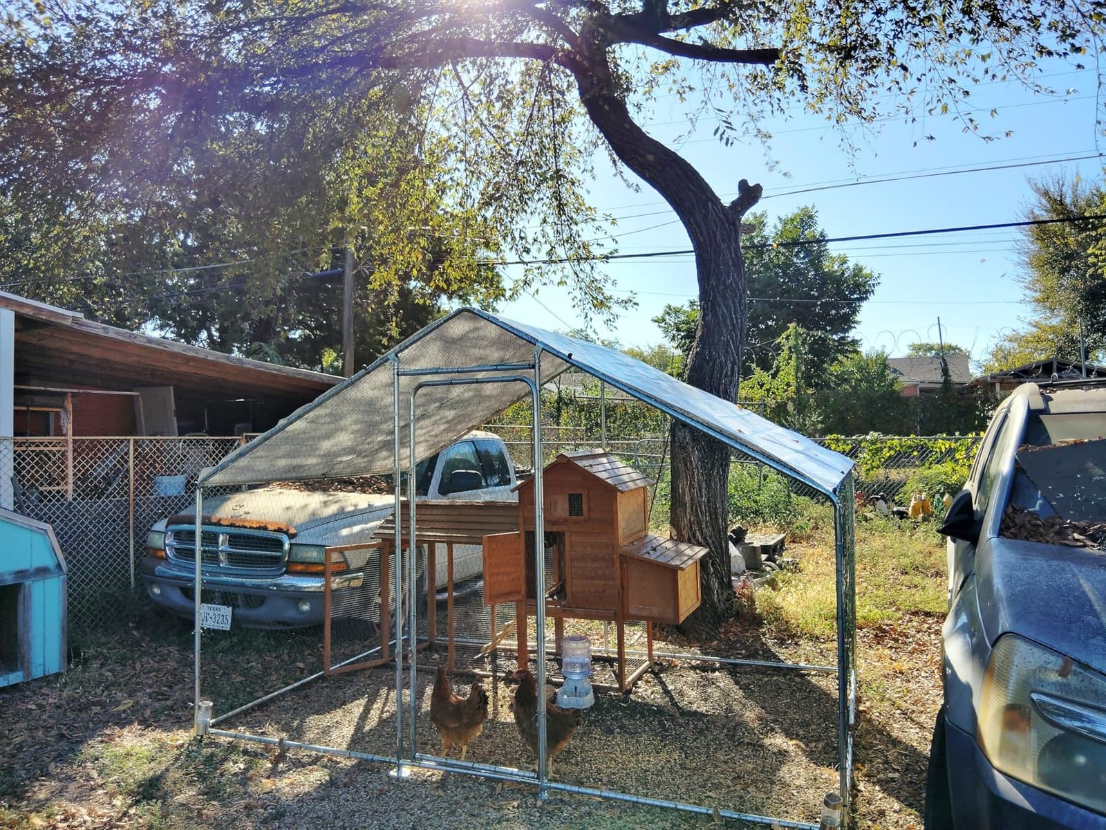 GOJOOASIS Chicken Coop for 15-20 Chickens Large Run Walk-in Poultry Pen Heavy Duty Cage Outdoor Predator Proof Metal Enclosure for Yard Hen House with Waterproof Cover (10'L x 6.6'W x 6.6'H) customer photo 1