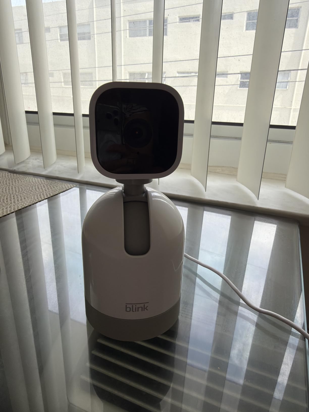 Blink Mini Pan-Tilt customer photo 1
