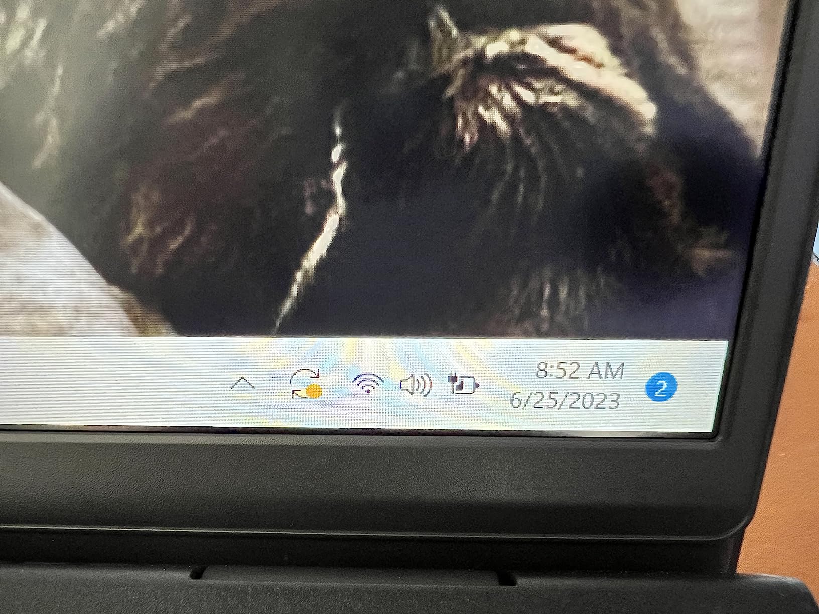 Dell Inspiron 15 3511 customer photo 1