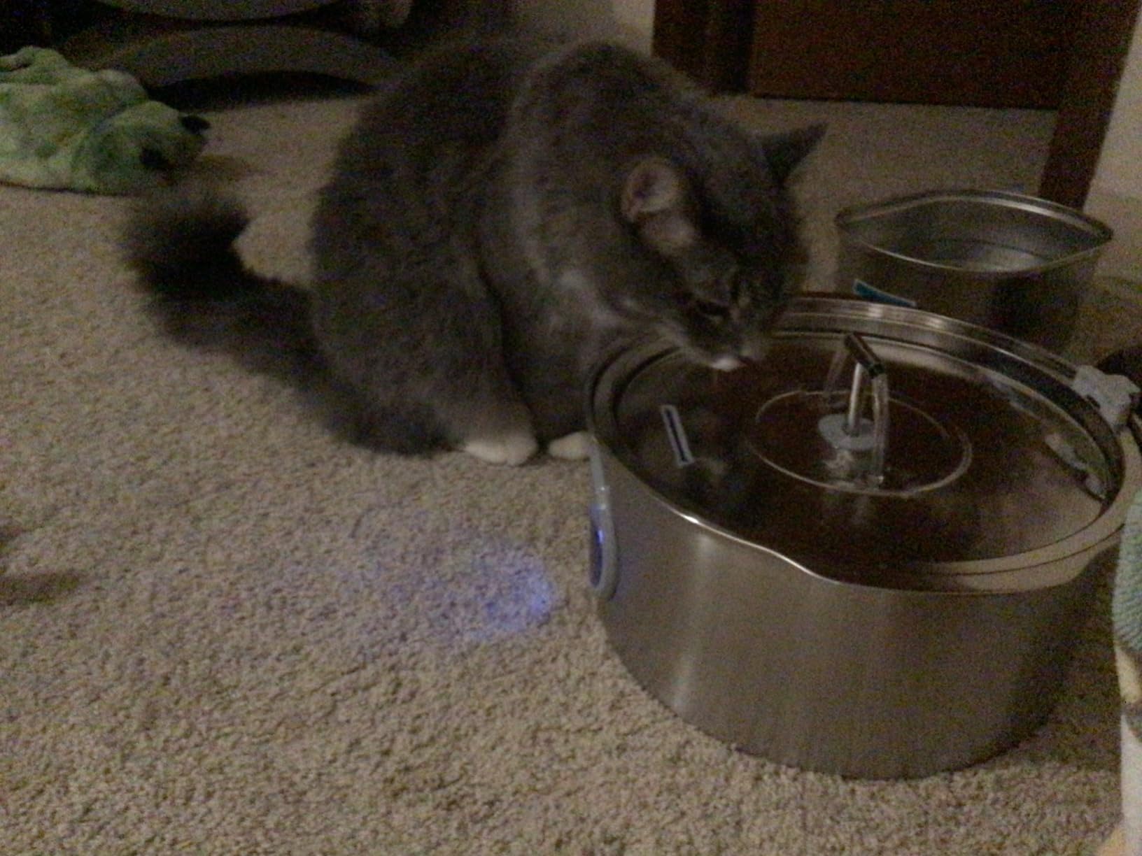 Cat Water Fountain Stainless Steel: Rellaty 3.2L/108oz Pet Water Fountain customer photo 1