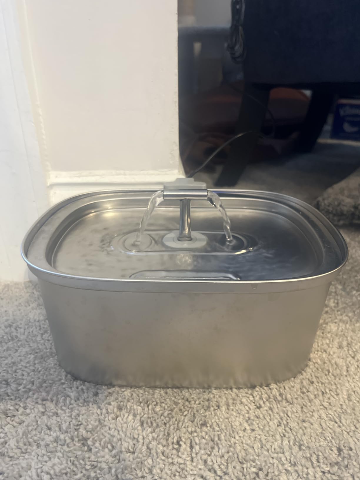 Cat Water Fountain Stainless Steel: Rellaty 3.2L/108oz Pet Water Fountain customer photo 2