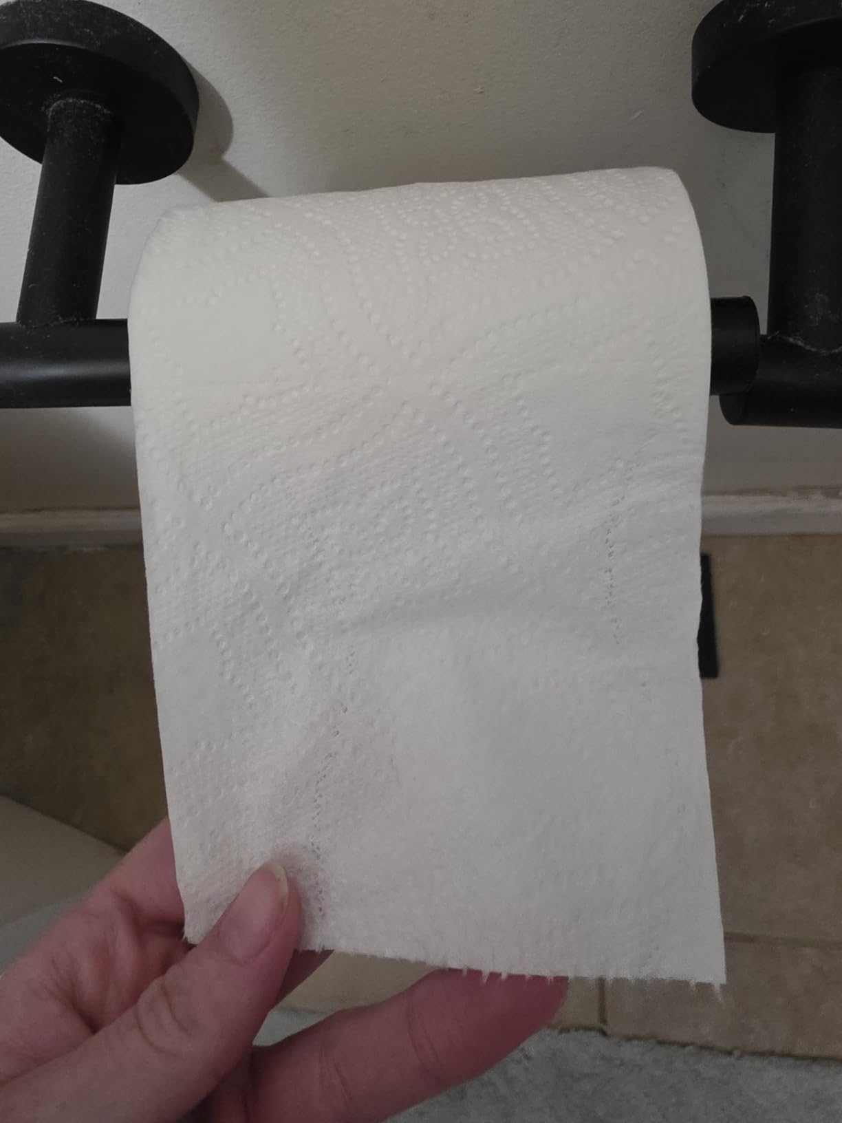 Quilted Northern Ultra Plush Toilet Paper, 6 Mega Rolls = 24 Regular Rolls customer photo 1
