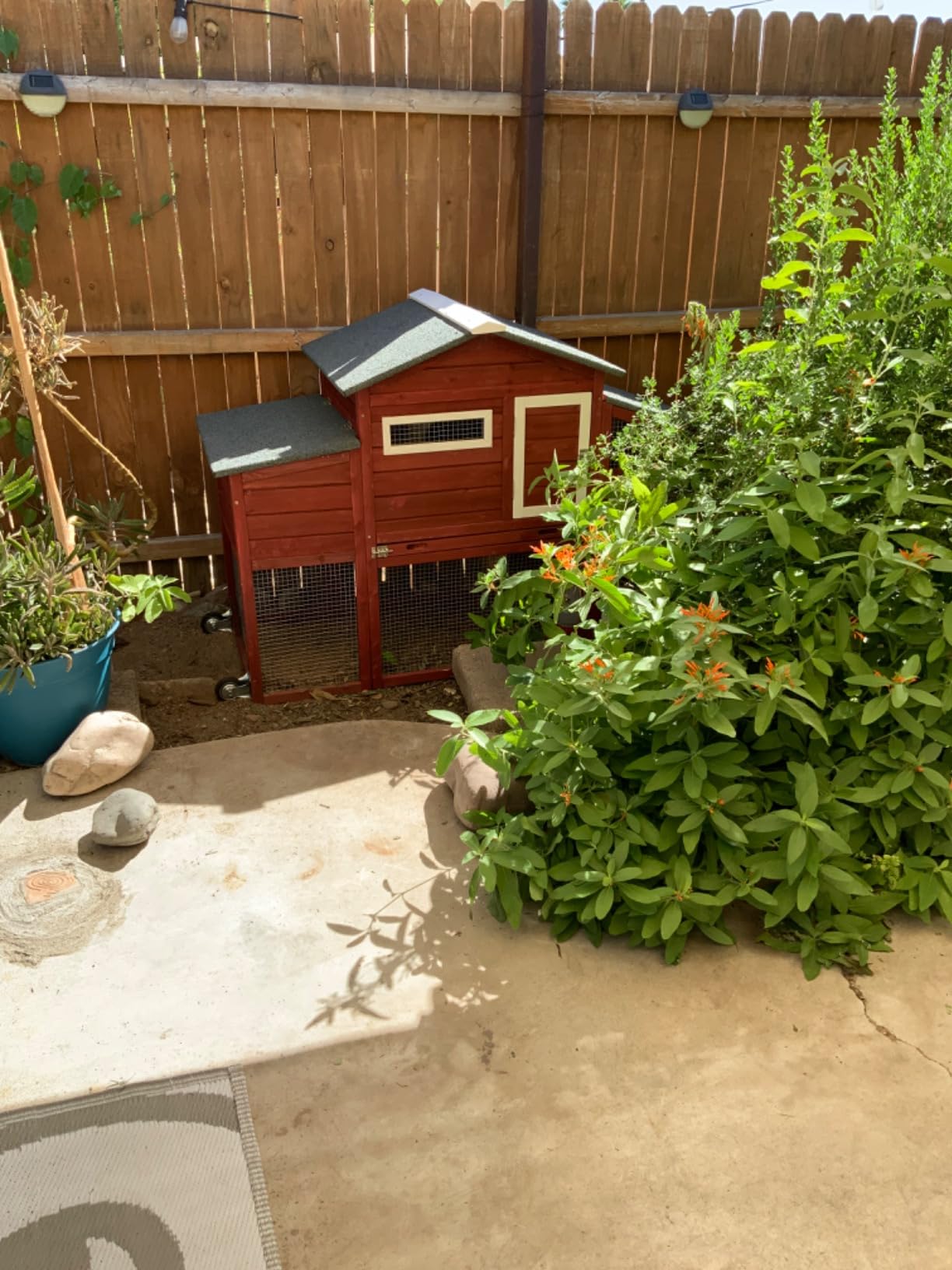PetsCosset Wooden Chicken Coop with Run and Wheels for 2–3 Hens customer photo 1