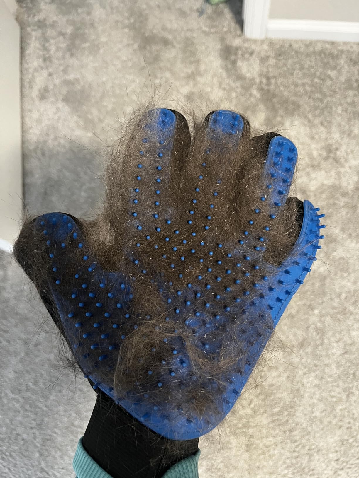 Cat Grooming Glove Brush 2-Pack, Pet Hair Remover Tool customer photo 1