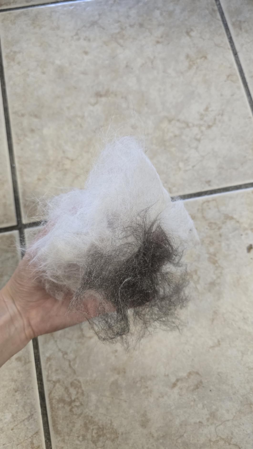 Cat Grooming Glove Brush 2-Pack, Pet Hair Remover Tool customer photo 2