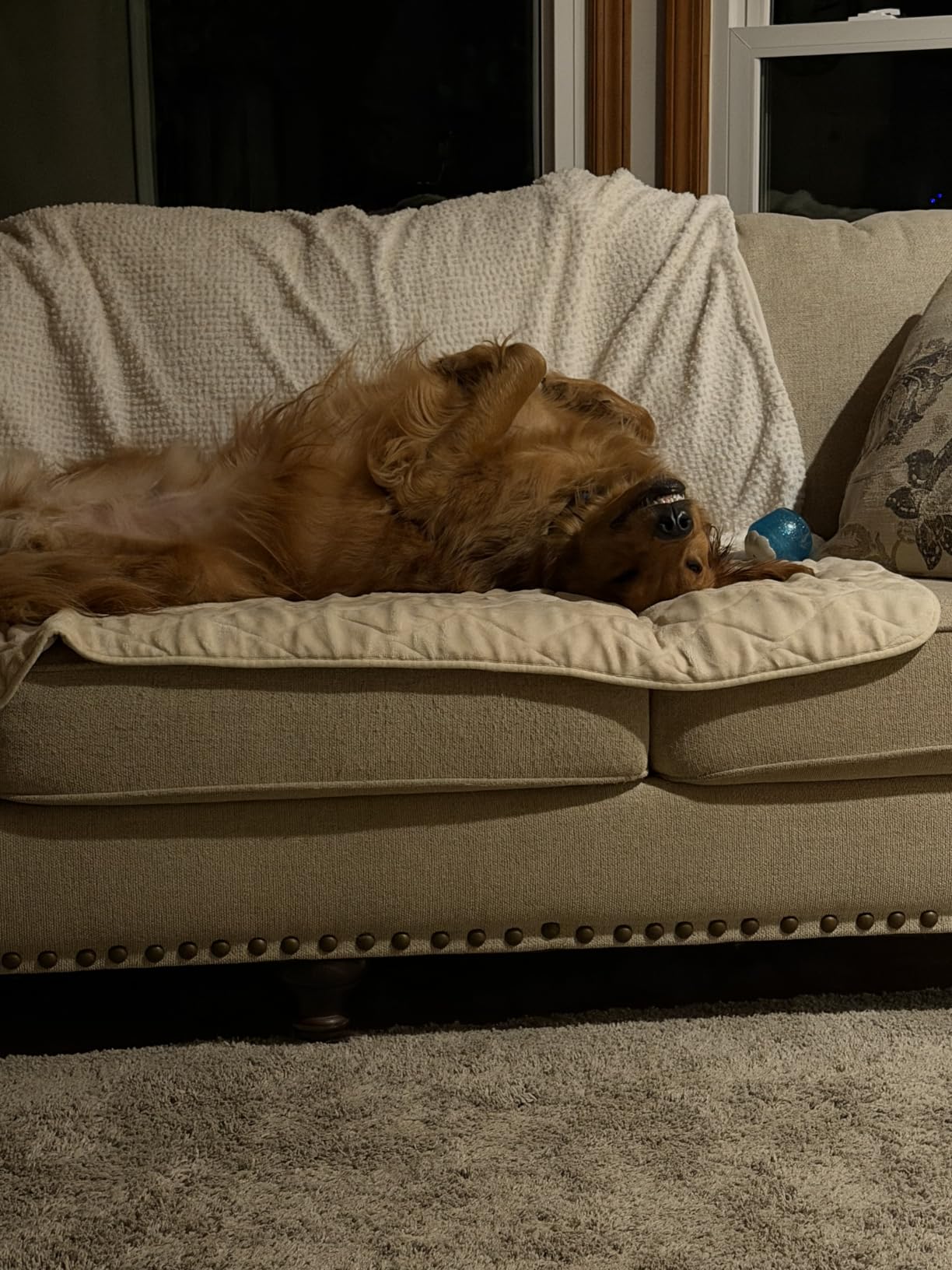 Bedsure GentleSoft Throw customer photo 1