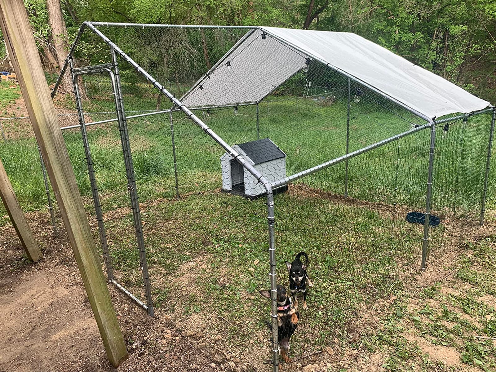 Large Metal Chicken Coop 10x10 Walk-in for 20 Chickens, Predator-Proof customer photo 1