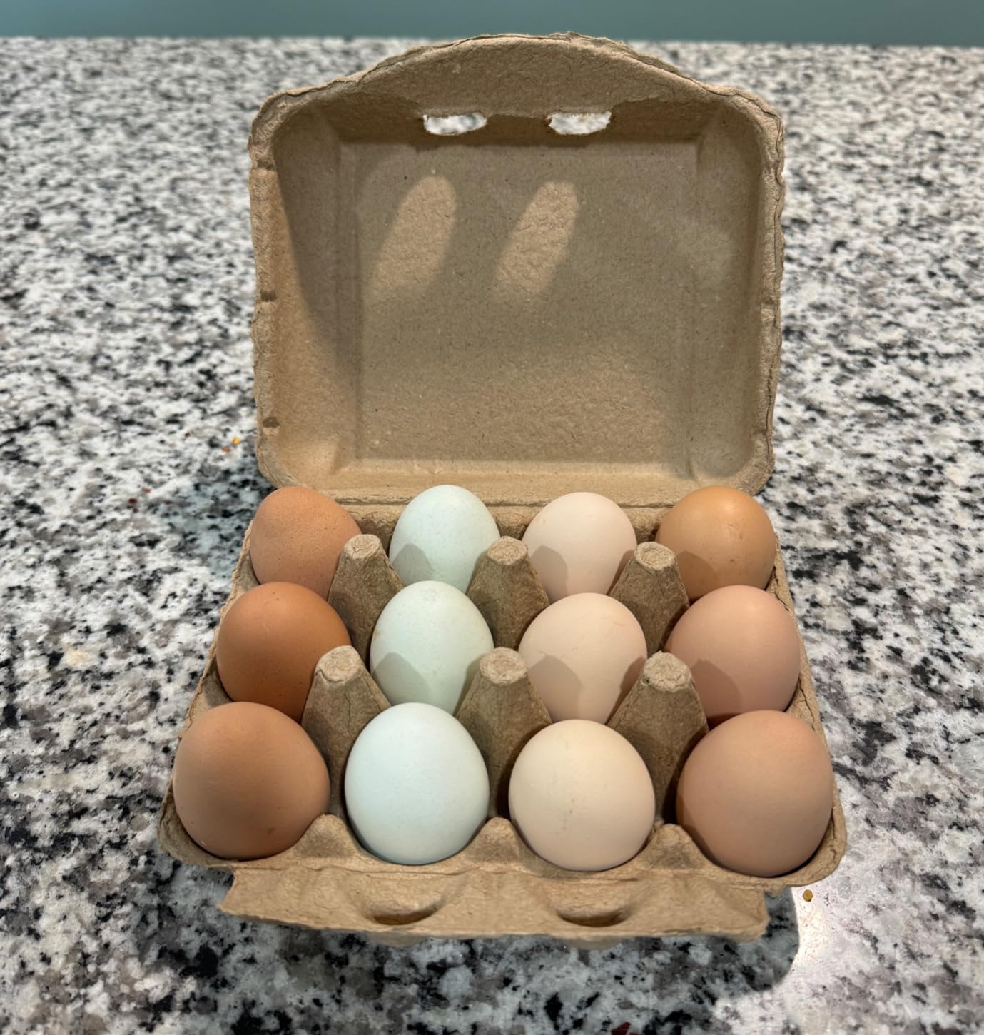 Vintage Egg Cartons 30 Pack, Natural Paper Pulp Square Dozen Egg Cartons customer photo 1