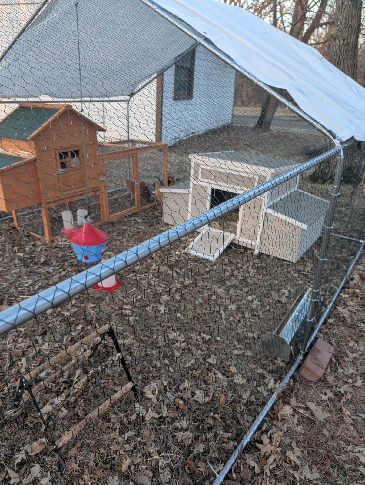 CHIKENCOOP 19.5x9.8x6.5 ft Metal Chicken Coop, Chicken Run with Cover customer photo 1